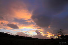 Winter sunsets - Five minutes' sequence