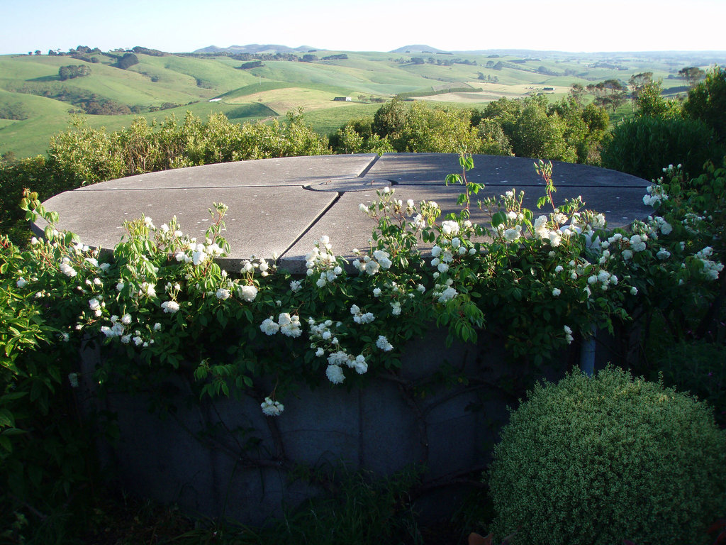 water tank and roses