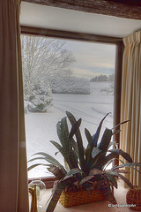 Winter Window Vistas