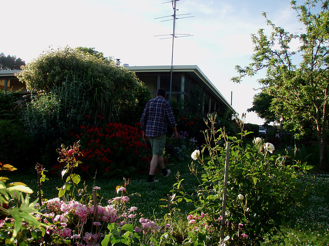 house and north garden