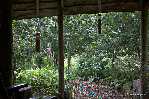 Gazebo midsummer jungle!