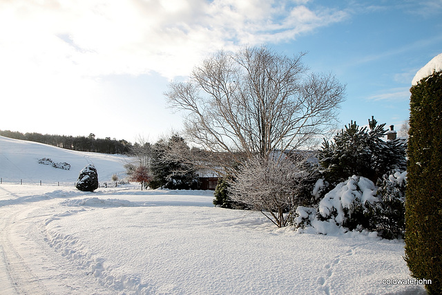 Snowploughed paths again this morning 5234217307 o