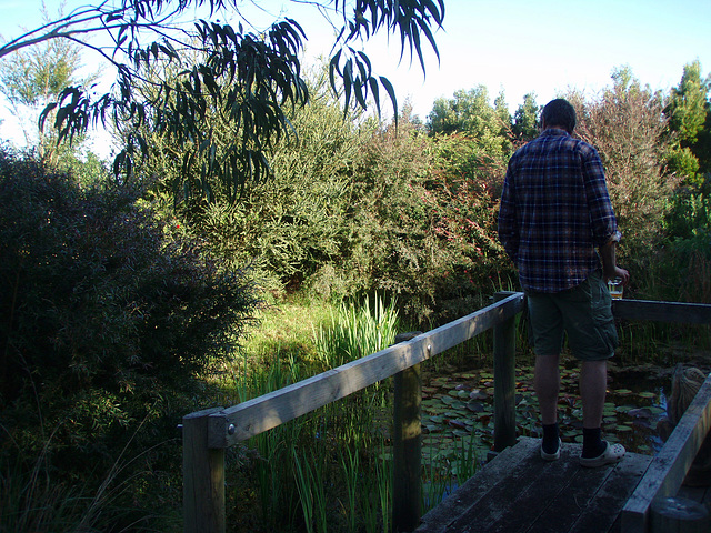 Ad on the pond jetty