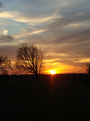 DSC00759
