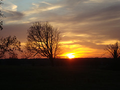 DSC00760
