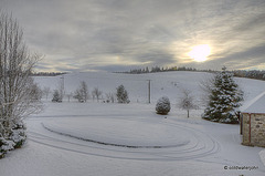 Winter Window Vistas