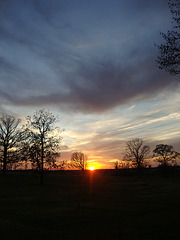DSC00753