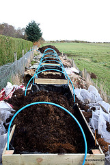 Stage Three: Fill the raised beds with a thick layer of farmyard manure...