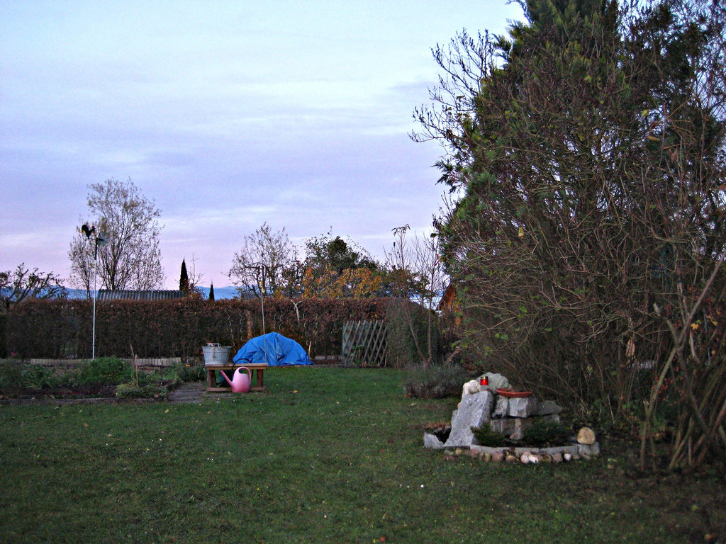 Abenddämmerung im Schrebergarten