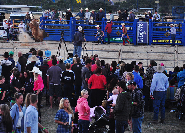 Stony Creek Rodeo