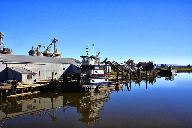 Petaluma River