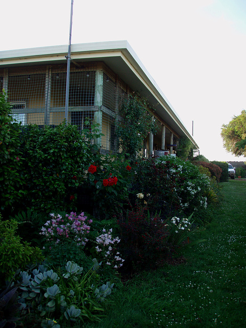 house and  north garden