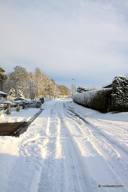 Sun and snow - garden walk Dec 10 2011