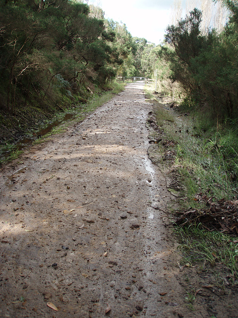 rail trail dissolved