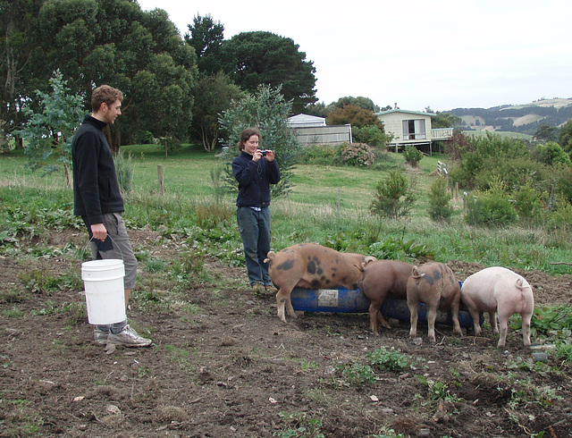 piggies with Sarah & Dylan