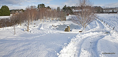 Snowploughed paths again this morning...