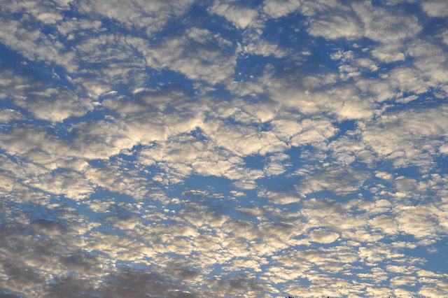 summer sky in the evening