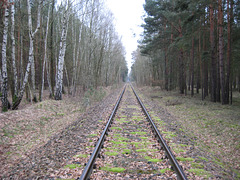 Draisinenbahn in Richtung Kummersdorf-Gut