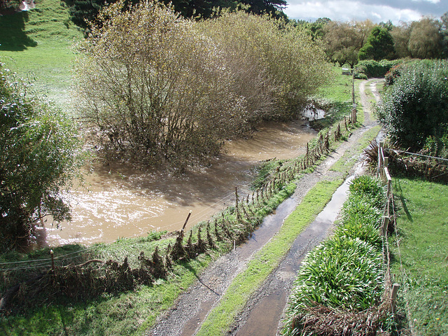 Fish Creek in flood