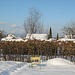 Der Schrebergarten im Winter