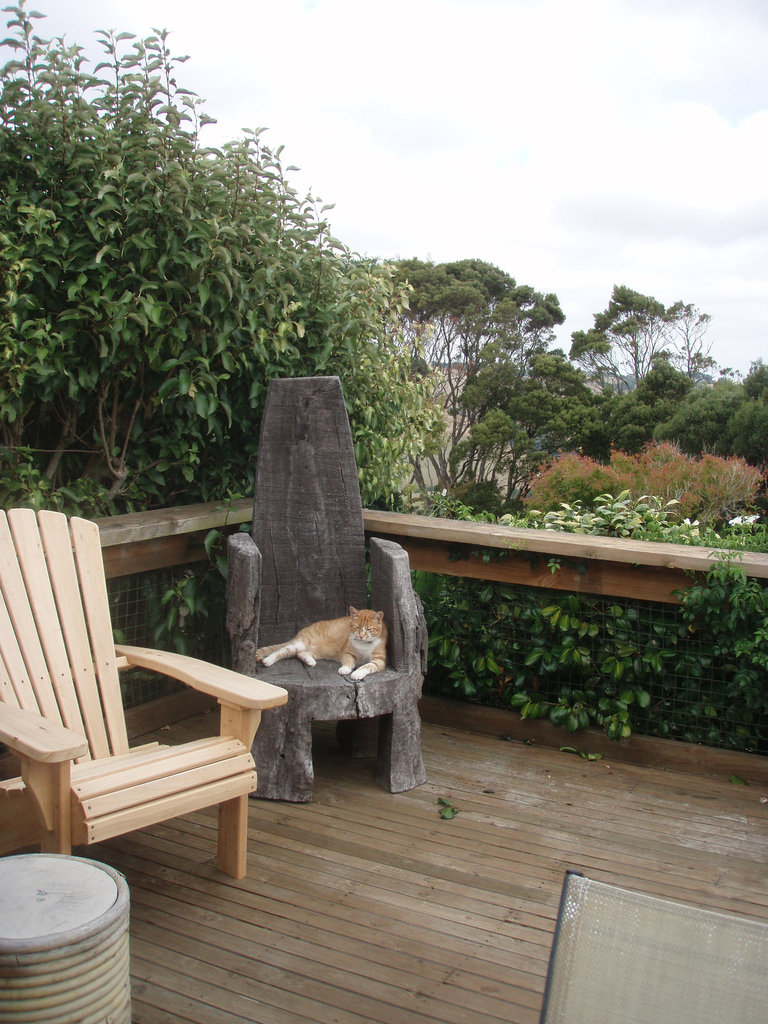Zetor on the throne