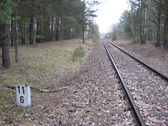 Draisinenbahn in Richtung Sperenberg mit km-Angabe