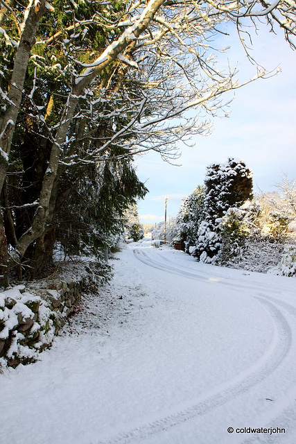 Sun and snow - garden walk Dec 10 2011