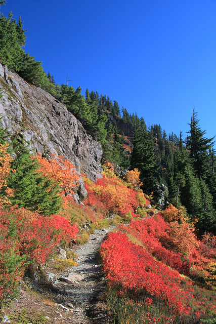 North Cascades Autumn Color