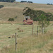 making hay while the sun shines