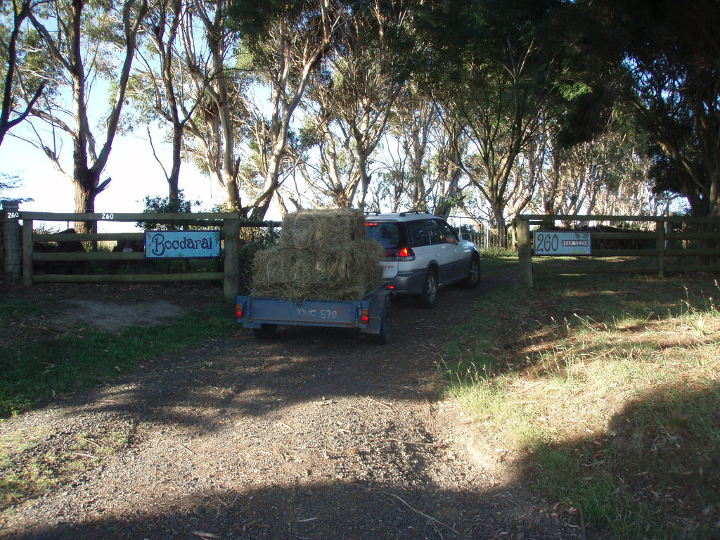 making hay while the sun shines