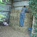 making hay while the sun shines