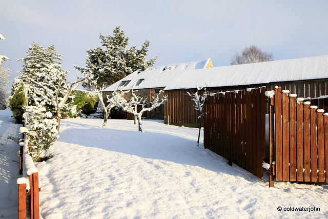 Sun and snow - garden walk Dec 10 2011