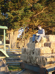 making hay while the sun shines