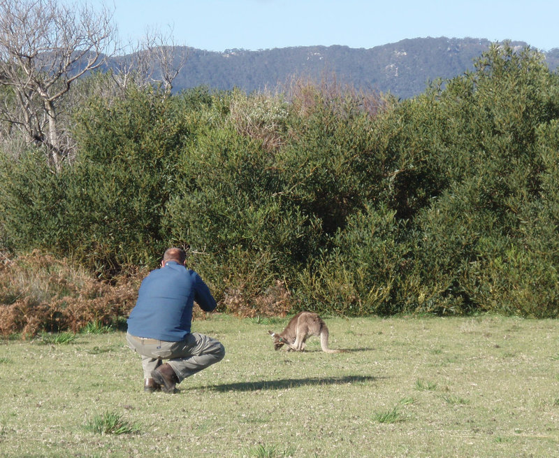 Arend & the teenage roo