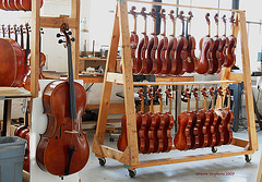 Violins