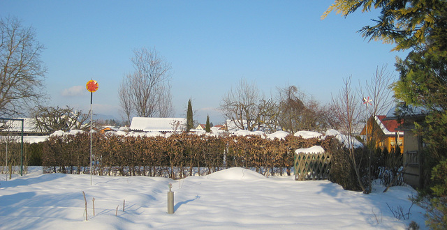 Der Schrebergarten im Winter