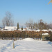 Der Schrebergarten im Winter