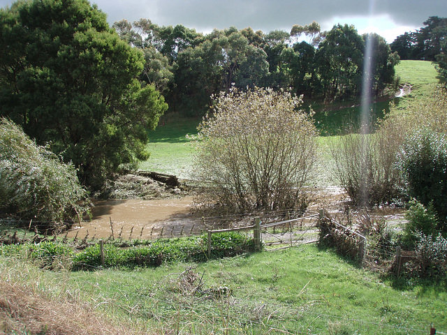 Fish Creek in flood