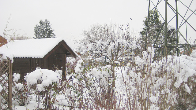 Neuschnee im Garten