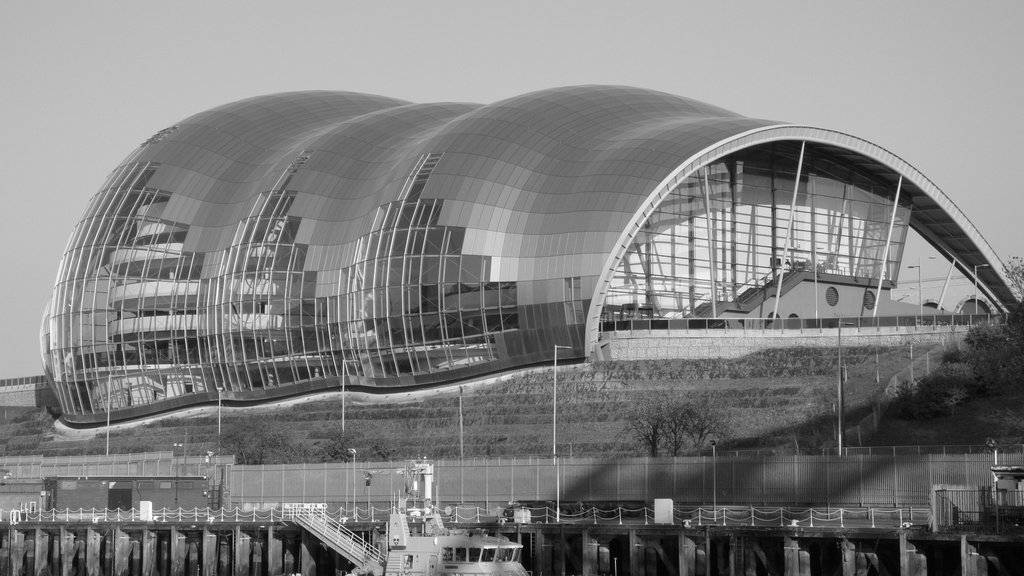Newcastle 9
