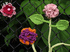 Yarnbomb Flowers 6