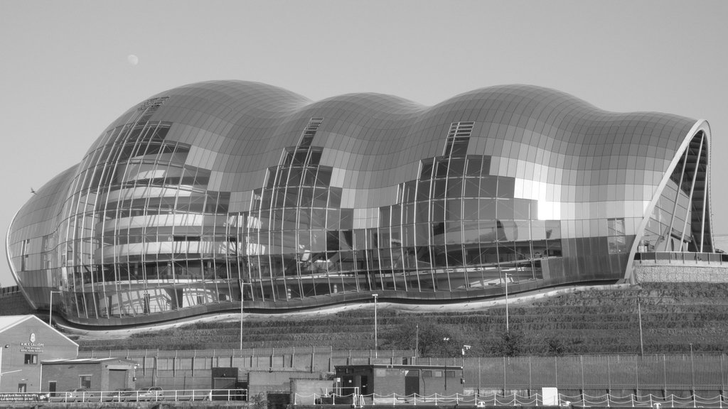 Newcastle 10