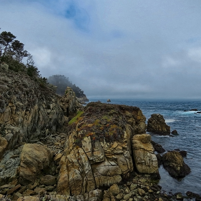 Point Lobos