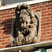 Stone lion with a perm
