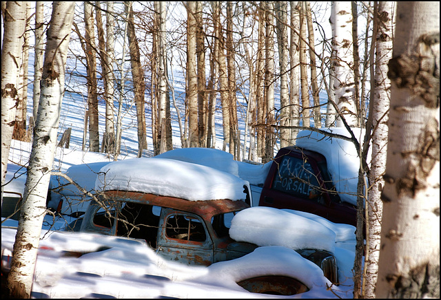 March 4, 2014 - No. 63 - One photo each day, -17 C