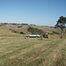 making hay while the sun shines