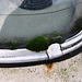 Moss on a Mercedes-Benz W123