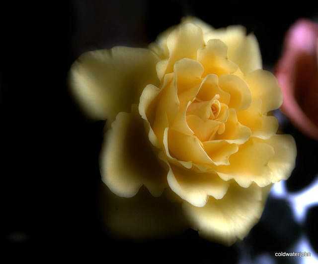 Bouquet selection