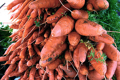 Carrots on the farmer's market in Portland, Oregon