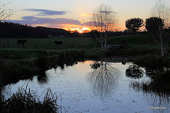 This evening's sunset over the pond 5190052560 o